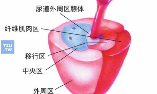 军博士芦荟胶和完美芦荟胶哪个好-【军博仕修护霜和军博士芦荟胶混合在一起可以用吗】军博仕德方芦荟胶 - 军博士芦荟胶的功效网