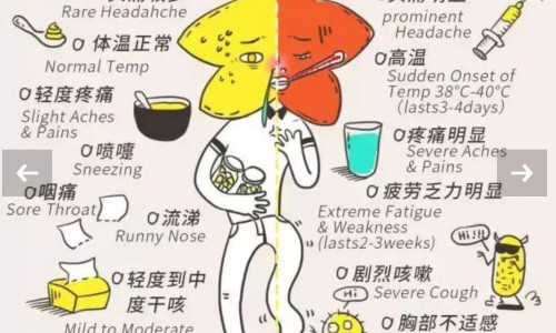军博士芦荟胶和完美芦荟胶哪个好-【军博仕修护霜和军博士芦荟胶混合在一起可以用吗】军博仕德方芦荟胶 - 军博士芦荟胶的功效网