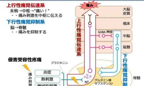 军博士芦荟胶和完美芦荟胶哪个好-【军博仕修护霜和军博士芦荟胶混合在一起可以用吗】军博仕德方芦荟胶 - 军博士芦荟胶的功效网