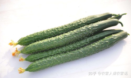 军博仕修护霜和军博士芦荟胶混合在一起可以用吗-【军博仕修护霜和军博士芦荟胶混合在一起可以用吗】军博仕德方芦荟胶 - 军博士芦荟胶的功效网