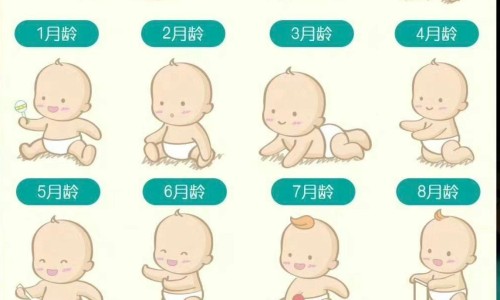 【军博仕修护霜和军博士芦荟胶混合在一起可以用吗】军博仕德方芦荟胶 - 军博士芦荟胶的功效网